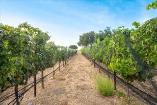 14411 Shannon Rd, Los Gatos, CA 95032 - Photo 83