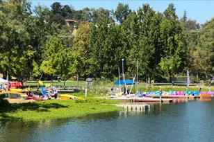 14411 Shannon Rd, Los Gatos, CA 95032 - Photo 135