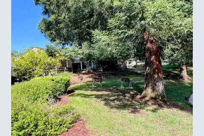 6139 Montgomery Pl, San Jose, CA 95135 - Photo 39