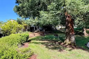 6139 Montgomery Pl, San Jose, CA 95135 - Photo 39