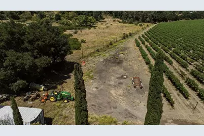 24.5 +- Ac Cienega Rd, Paicines, CA 95043 - Photo 21