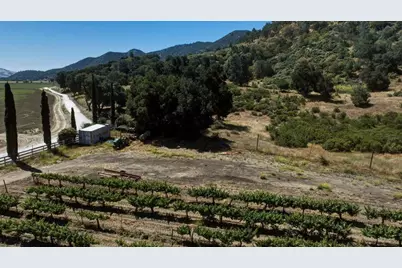 24.5 +- Ac Cienega Rd, Paicines, CA 95043 - Photo 19