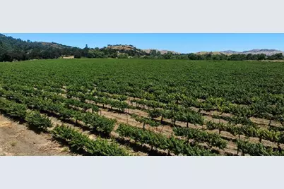 24.5 +- Ac Cienega Rd, Paicines, CA 95043 - Photo 13