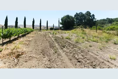 24.5 +- Ac Cienega Rd, Paicines, CA 95043 - Photo 25