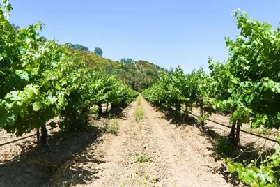 24.5 Acres Cienega Rd, Hollister, CA 95023 - Photo 29