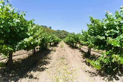 24.5 Acres Cienega Rd, Hollister, CA 95023 - Photo 31
