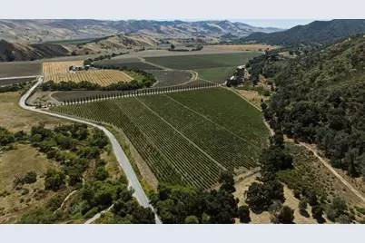 24.5 Acres Cienega Rd, Hollister, CA 95023 - Photo 9