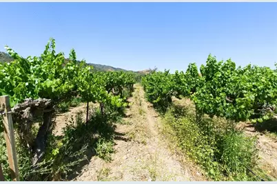 24.5 Acres Cienega Rd, Hollister, CA 95023 - Photo 27