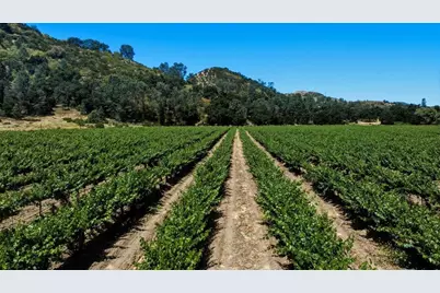 24.5 Acres Cienega Rd, Hollister, CA 95023 - Photo 15