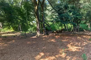 8484 E Zayante Rd, Felton, CA 95018 - Photo 45