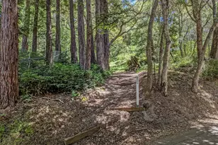 855 Patrol Rd, Woodside, CA 94062 - Photo 35