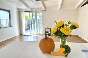 537 Mayellen Ave, San Jose, CA 95126 - Photo 5