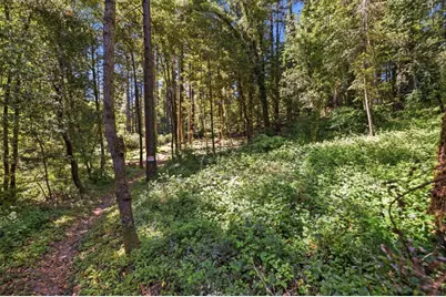 0 Garfield Way, Felton, CA 95018 - Photo 7