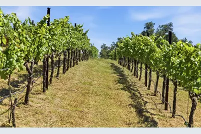 0 Miller Hill Rd, Los Gatos, CA 95033 - Photo 7