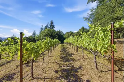 0 Miller Hill Rd, Los Gatos, CA 95033 - Photo 11