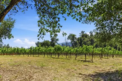 0 Miller Hill Rd, Los Gatos, CA 95033 - Photo 3