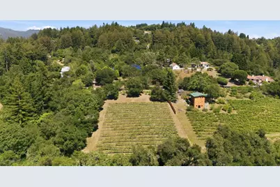 0 Miller Hill Rd, Los Gatos, CA 95033 - Photo 31