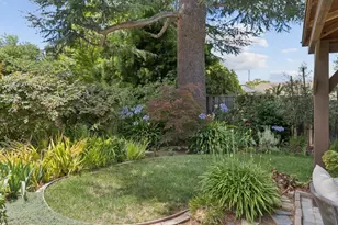 546 Cecelia Ct, Los Altos, CA 94022 - Photo 45