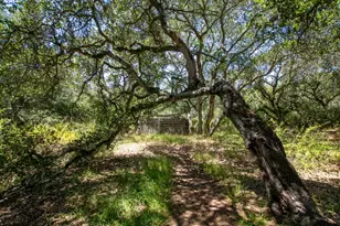 425 Echo Valley Rd, Salinas, CA 93907 - Photo 33