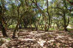 425 Echo Valley Rd, Salinas, CA 93907 - Photo 31