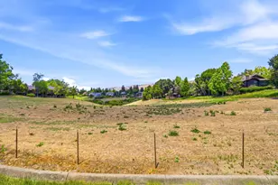 1323 Ocaso Camino, Fremont, CA 94539 - Photo 33