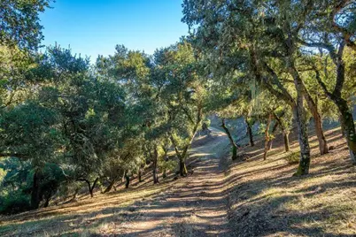 17114 Cachagua Rd, Carmel Valley, CA 93924 - Photo 29
