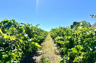19025 N Devries Rd, Lodi, CA 95242 - Photo 7