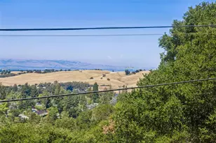 918 La Mesa Dr, Portola Valley, CA 94028 - Photo 49