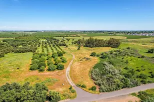 27643 Co Rd 88, Winters, CA 95694 - Photo 5