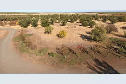 27643 County Road 88, Winters, CA 95694 - Photo 15