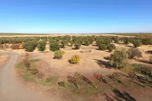 27643 Co Rd 88, Winters, CA 95694 - Photo 15