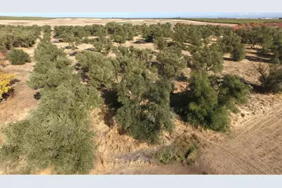 27643 County Road 88, Winters, CA 95694 - Photo 17