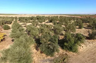 27643 Co Rd 88, Winters, CA 95694 - Photo 17