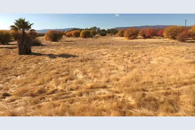 27643 County Road 88, Winters, CA 95694 - Photo 21