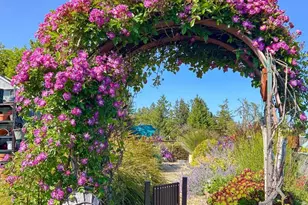 200 McAmant Dr, Santa Cruz, CA 95060 - Photo 99