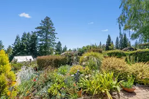 200 McAmant Dr, Santa Cruz, CA 95060 - Photo 83