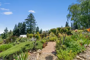 200 McAmant Dr, Santa Cruz, CA 95060 - Photo 73