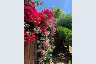 4415 Stone Canyon Dr, San Jose, CA 95136 - Photo 59
