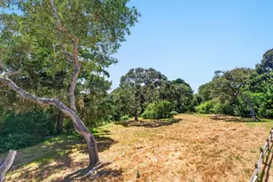 360 Babe Thompson, Watsonville, CA 95076 - Photo 63