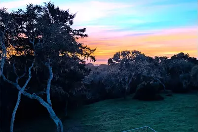 360 Babe Thompson, Watsonville, CA 95076 - Photo 71