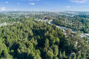 188 El Rancho Dr, Santa Cruz, CA 95060 - Photo 55