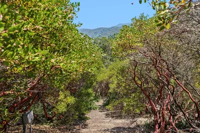 11270 Page Mill Rd, Los Altos Hills, CA 94022 - Photo 55