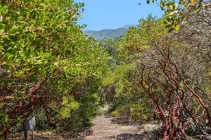 11270 Page Mill Rd, Los Altos Hills, CA 94022 - Photo 55