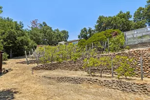 11270 Page Mill Rd, Los Altos Hills, CA 94022 - Photo 59