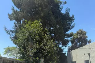 222 Oak St, Salinas, CA 93901 - Photo 11