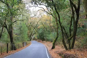 6790 Redwood Retreat Rd, Gilroy, CA 95020 - Photo 87