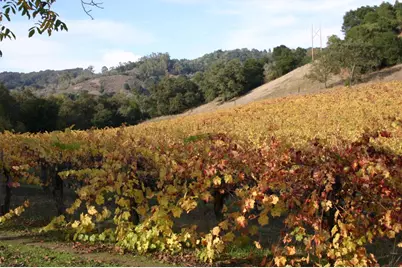 6790 Redwood Retreat Rd, Gilroy, CA 95020 - Photo 9