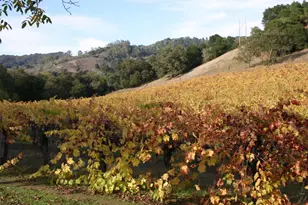 6790 Redwood Retreat Rd, Gilroy, CA 95020 - Photo 9