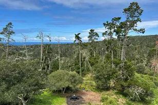 24312 San Juan Rd, Carmel, CA 93923 - Photo 31
