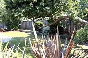 4708 Borina Dr, San Jose, CA 95129 - Photo 33